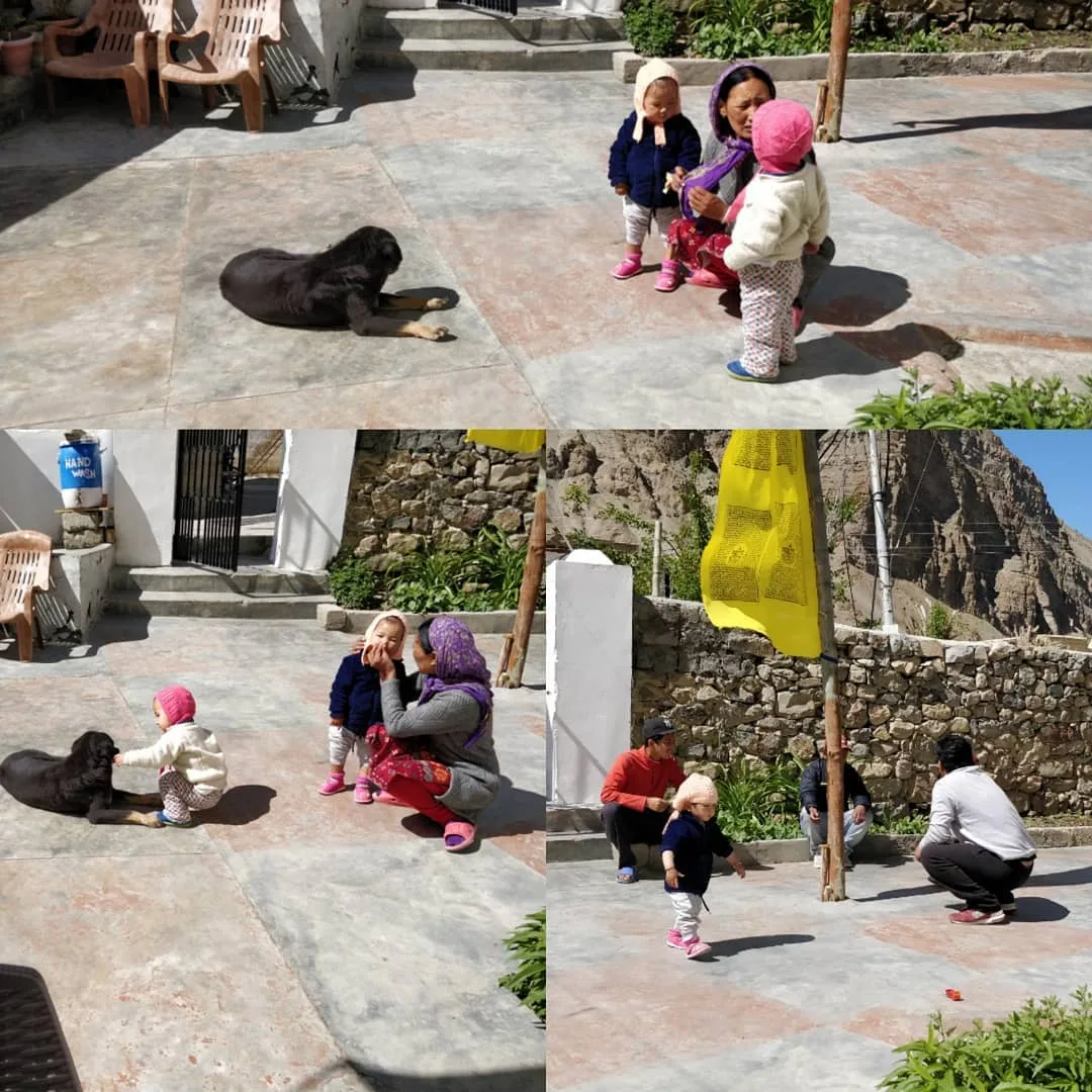 This is a sight I don’t get to see in the cities - families playing with kids. Even on a weekend, I find most parents just don’t have the time for their kids, so consumed is their 