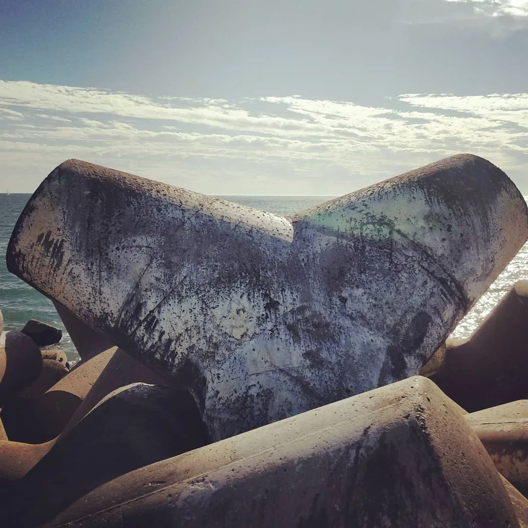 #whale
