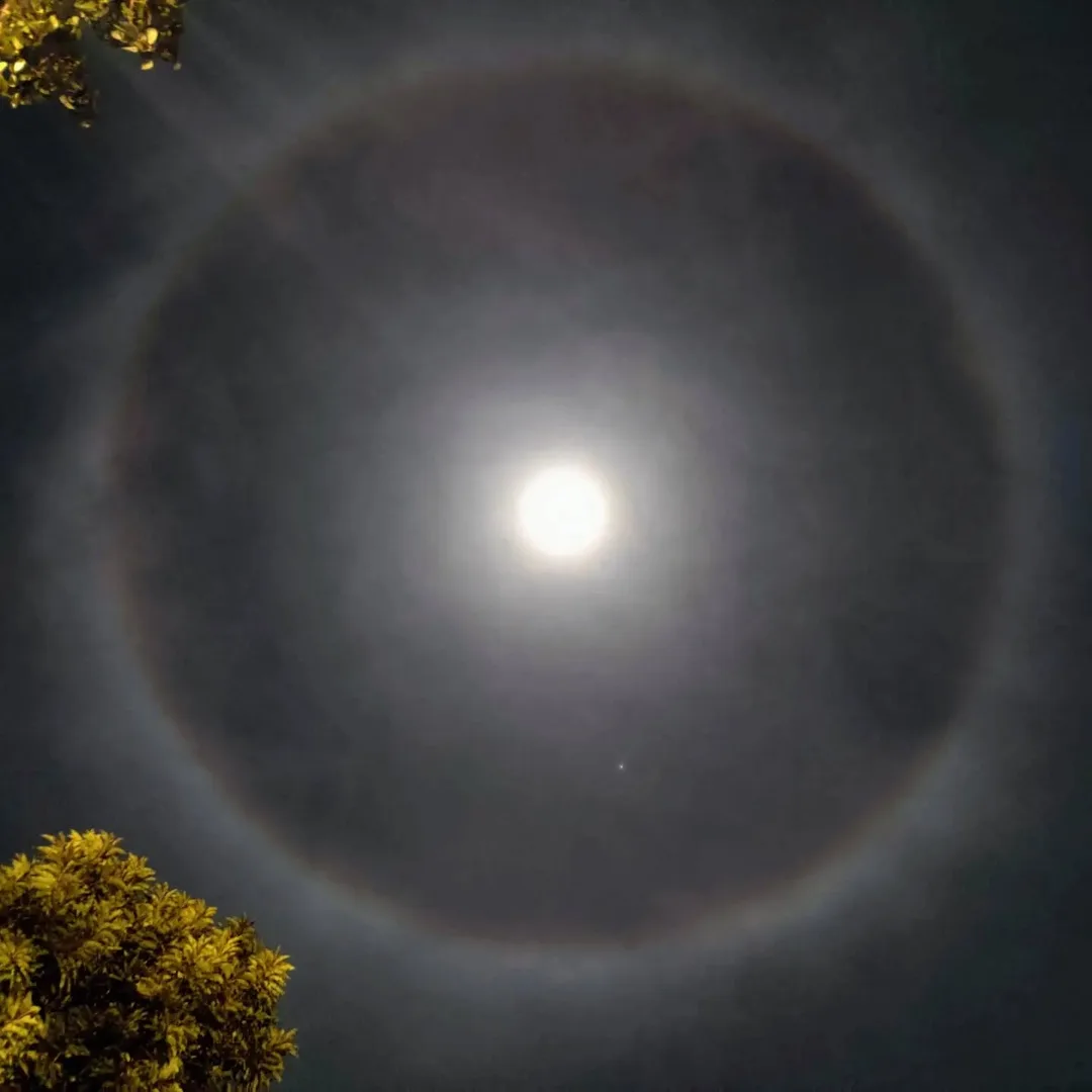 There's a halo around the moon tonight, if you look up at the sky. And the halo has a slight rainbow to it - reddish on the inside and blueish on the outside.