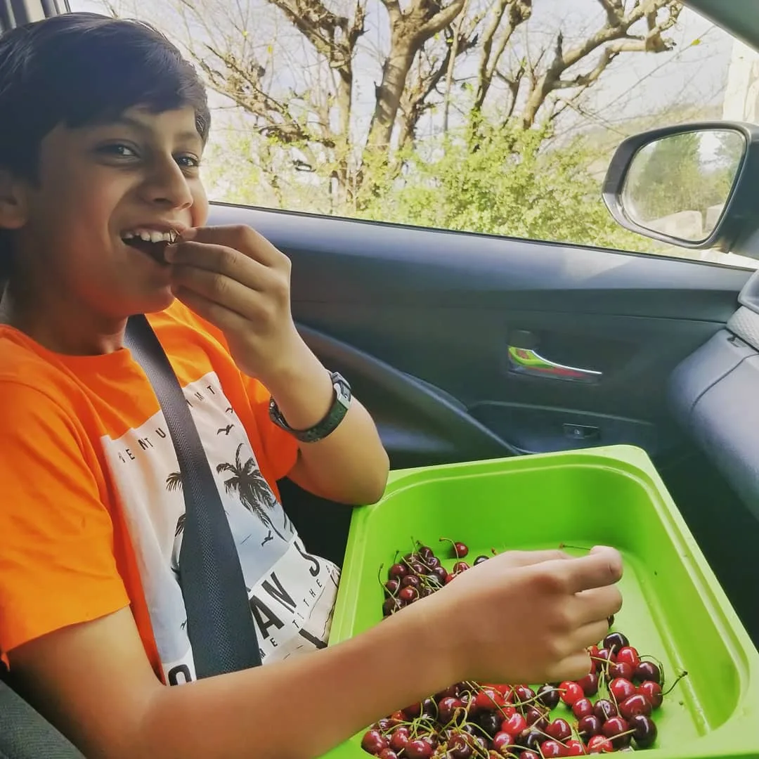 #happiness

#cherries #vanlife #HimachalPradesh