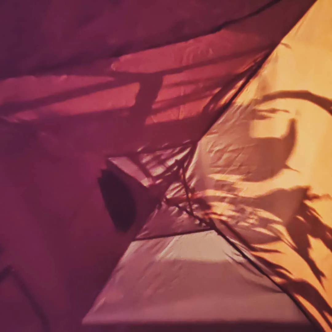 Don't you just love #camping in the shadow of a big tree?