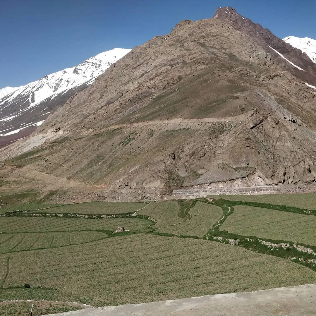 Sometimes you see a burst of green between the unrelenting rock and snow. And you know a river flows nearby. And a farmer toils hard to protect his field.