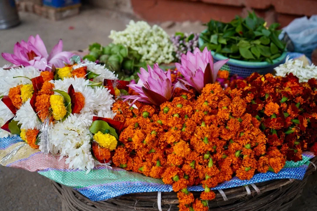 #varanasi #india #banaras #kashi #banarasi #travel #varanasidiaries #uttarpradesh #photography #benaras #ganga #incredibleindia #ghat #gangaghat #gangaghats #travelphotography #var