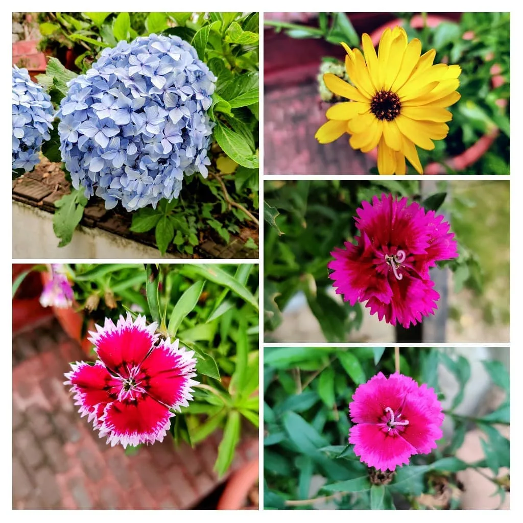 Can you help me with the names?