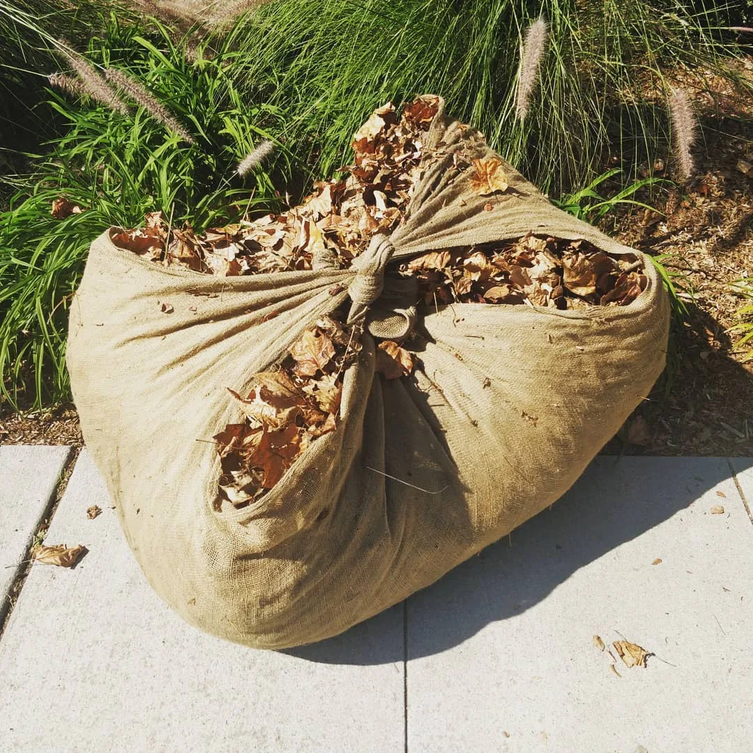 टाट की बोरी in America. Just lying by the roadside near Google and other fancy corporate offices.