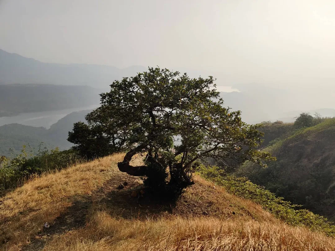 More Sahayadri goodness