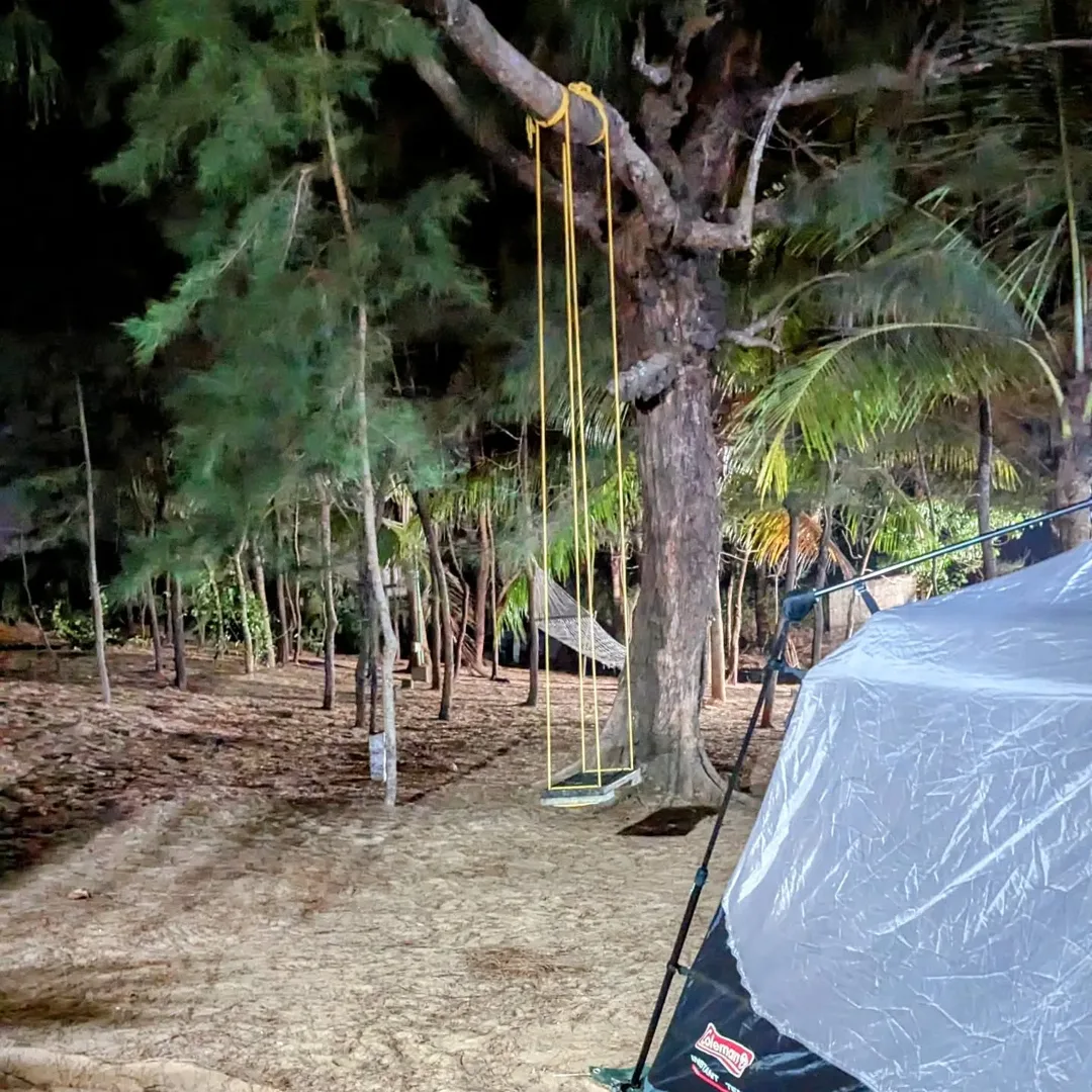 Camping under trees and the stars.

The campsite came with a swing and a hammock.

#camping #swing #hammock #trees