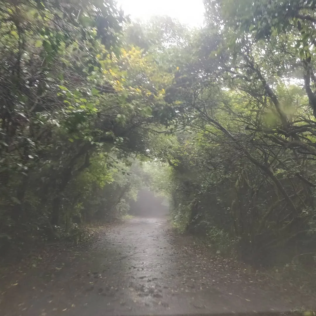 Hard to take good photographs when it's pouring as much as it is. The #ghats in the #rain are something else.