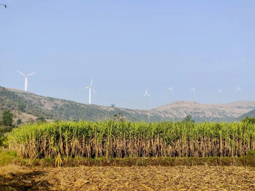 Always a sucker for electrical engineering

#windmill #windmills #sugarcane #maharashtra #sahayadri #caravan
