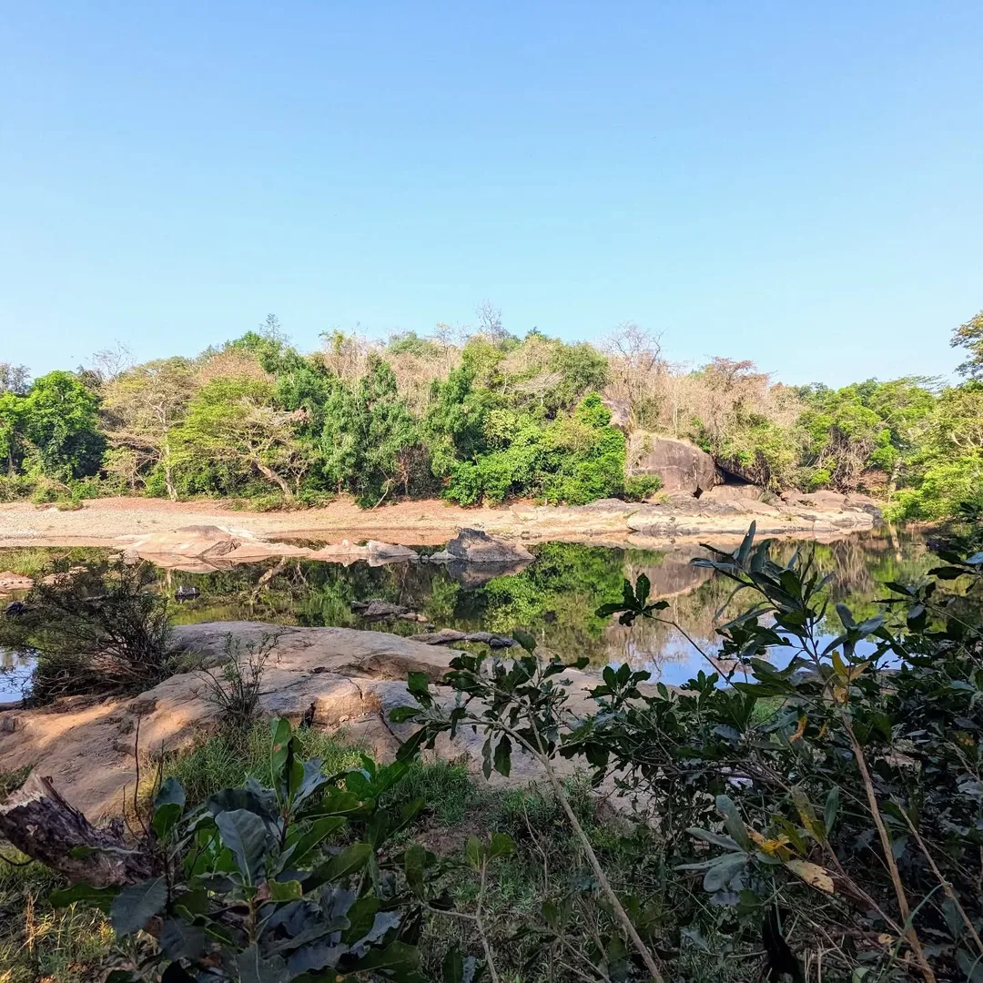 Over the weekend we went #camping in #Maharashtra, by the #Terekhol river.

I wish I'd taken a nicer picture of the beautiful river and the fresh, cool water.