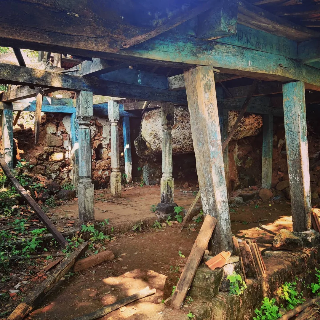 Another pic of the #temple eaten up by the #jungle, 'coz y'all apparently like this sort of thing