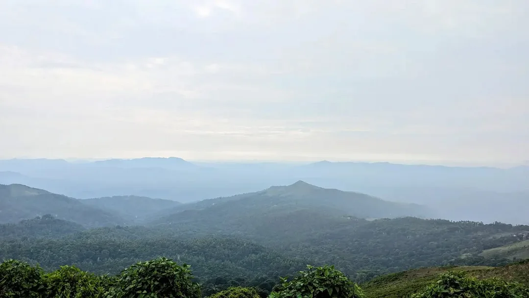 Baba Budan Giri. Pictures cannot capture the beauty of this place.

#nature #Karnataka #naturephotography #india