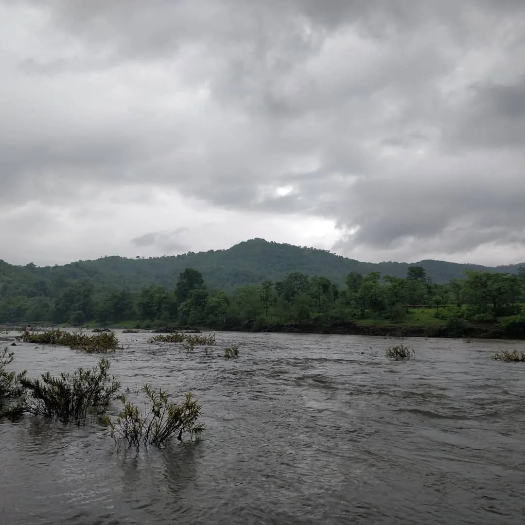 Savitri river