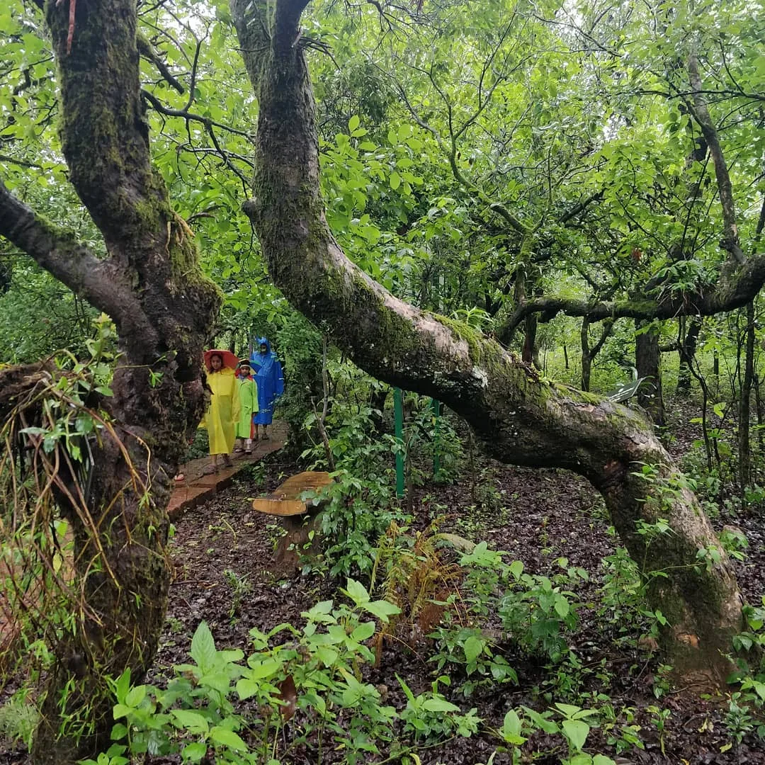 Then we trooped into a #forest