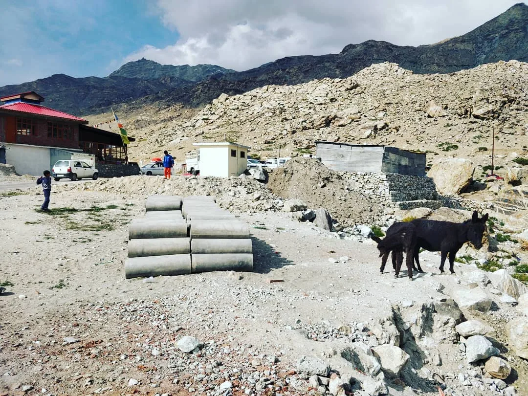 Lots of #donkeys in #Nako today