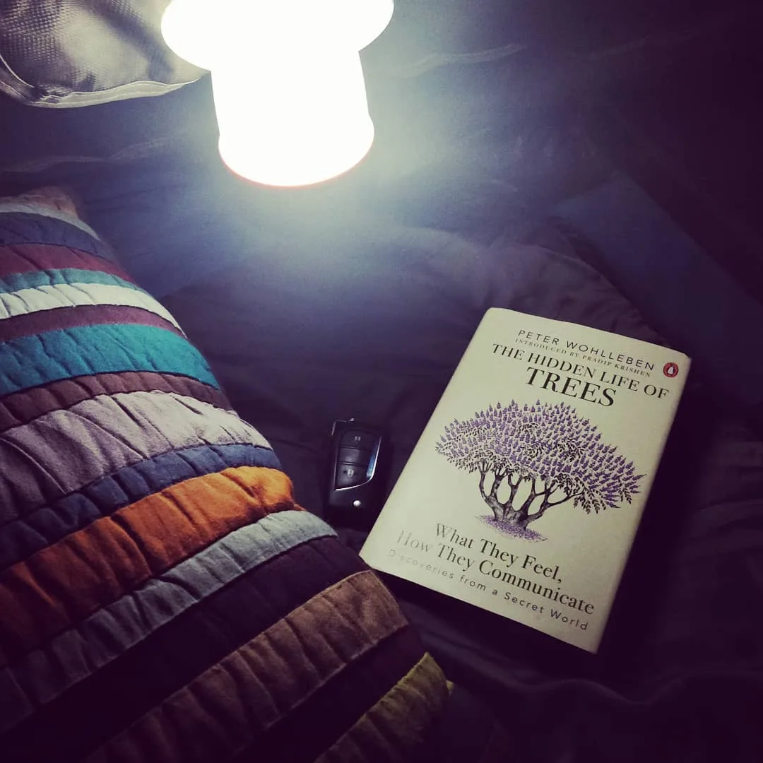 It's time to call it a night.