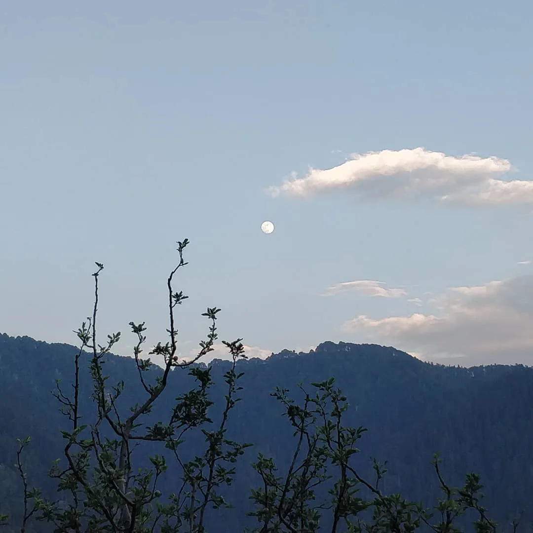 #moonrise over the #campsite.