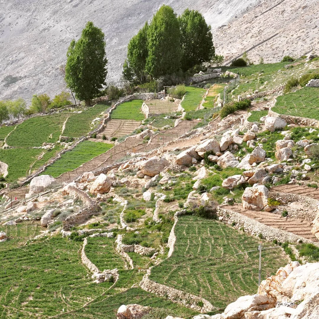 #stepfarming the #rocky #terrain