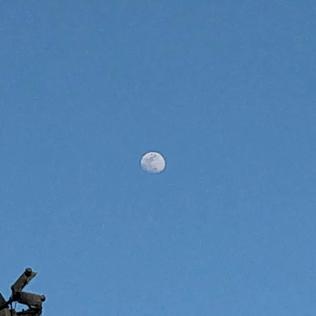 #Bangalore has clear blue skies. Clean, breathable air. And frog face cameras staring at the moon. What more does one want?