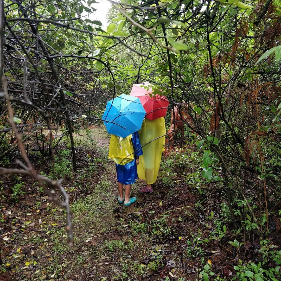 Deeper and deeper into the #forest we went. Farther and farther