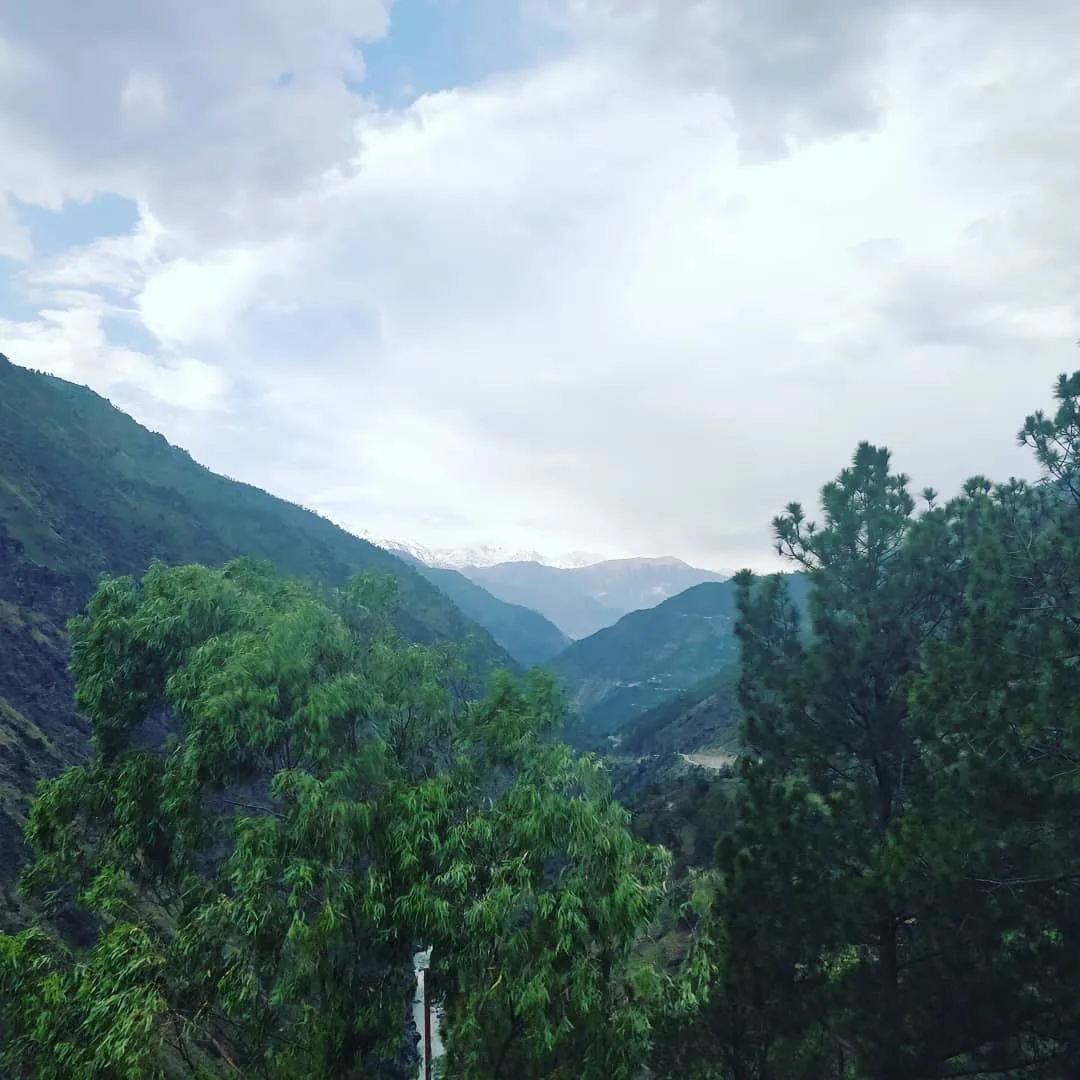 Our first view of #snowcappedmountains had the kids yelping with joy.

#roadtrip #HimachalTourism #HimachalPradesh #Jakhari