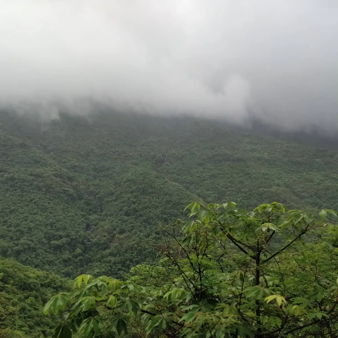 How #green is my #valley?