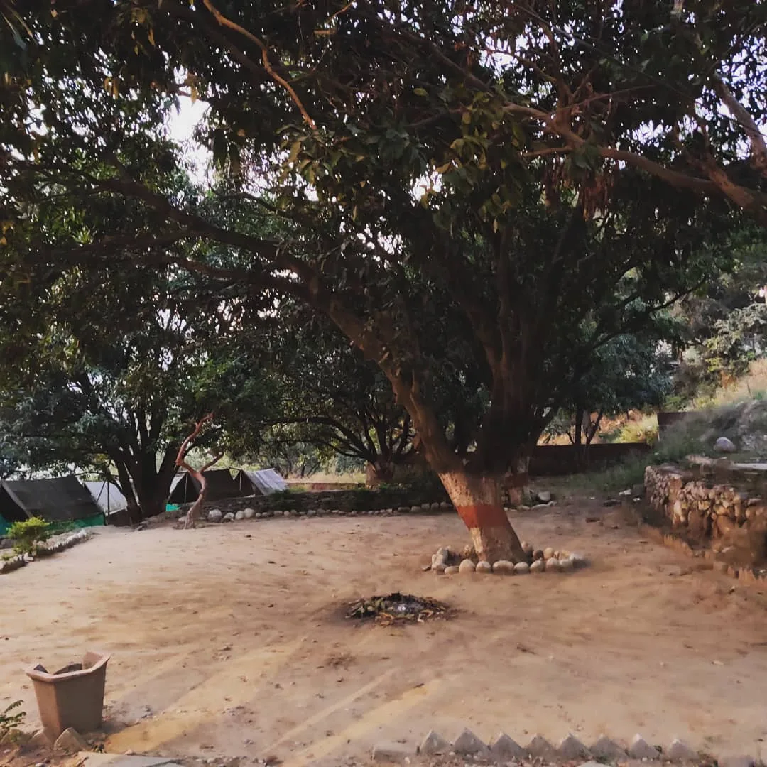 Our #campsite for the night.

#vanlife