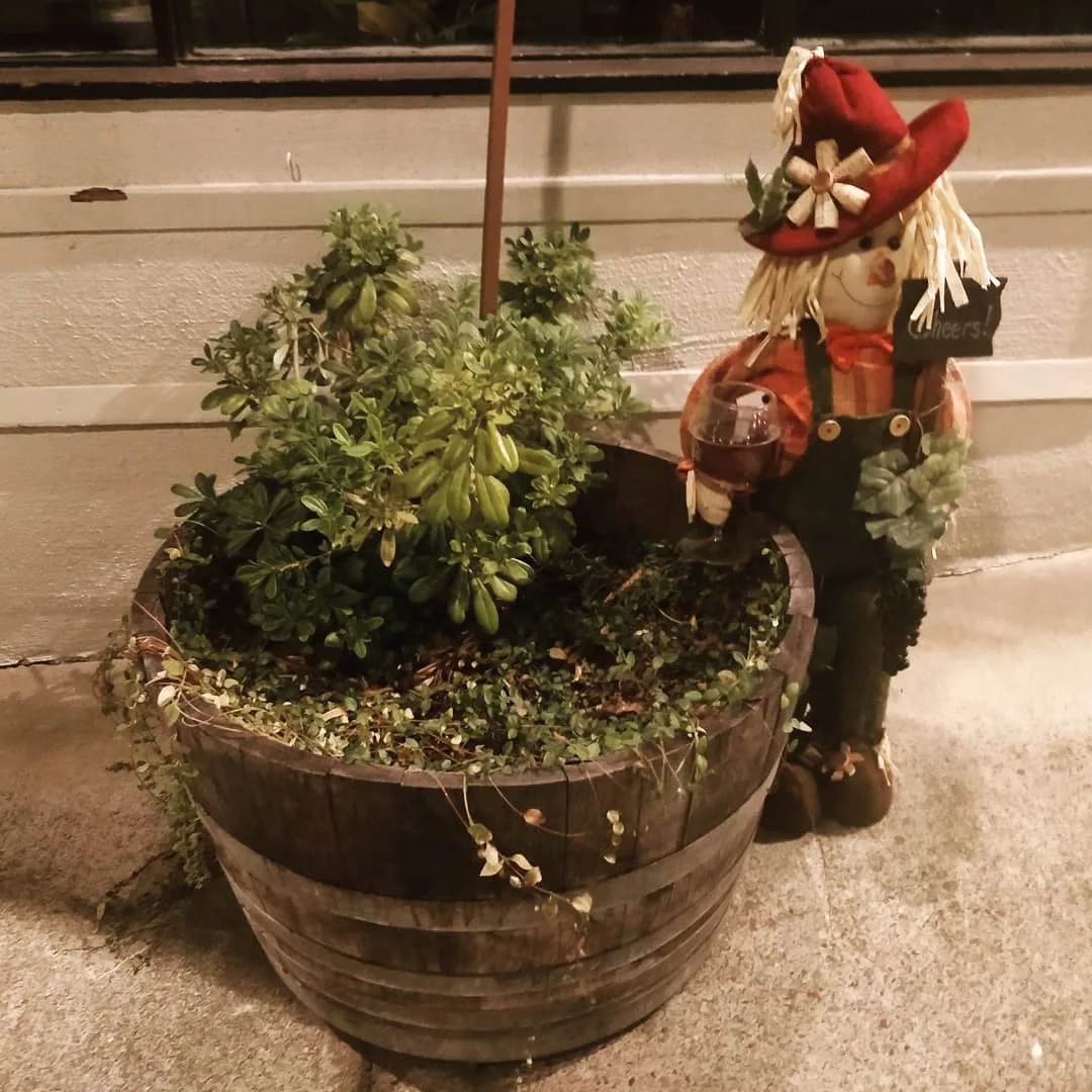 The unbearable #cuteness of #BayArea #Downtowns in #Halloween season