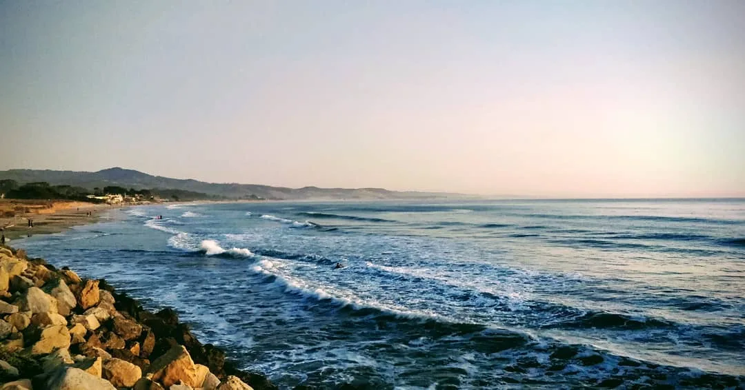 The #sea