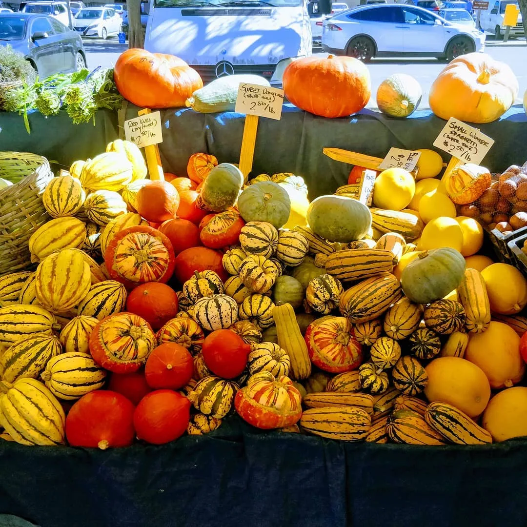 Visiting the Bay Area in pumpkin season.

If you wanna meet, give me a shout out.