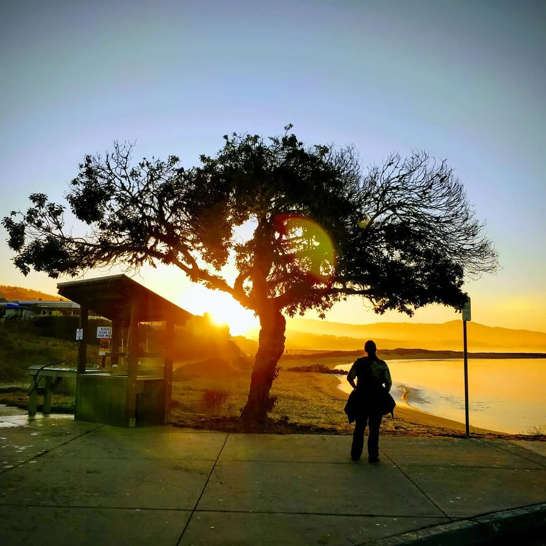 #silhouette. Almost.