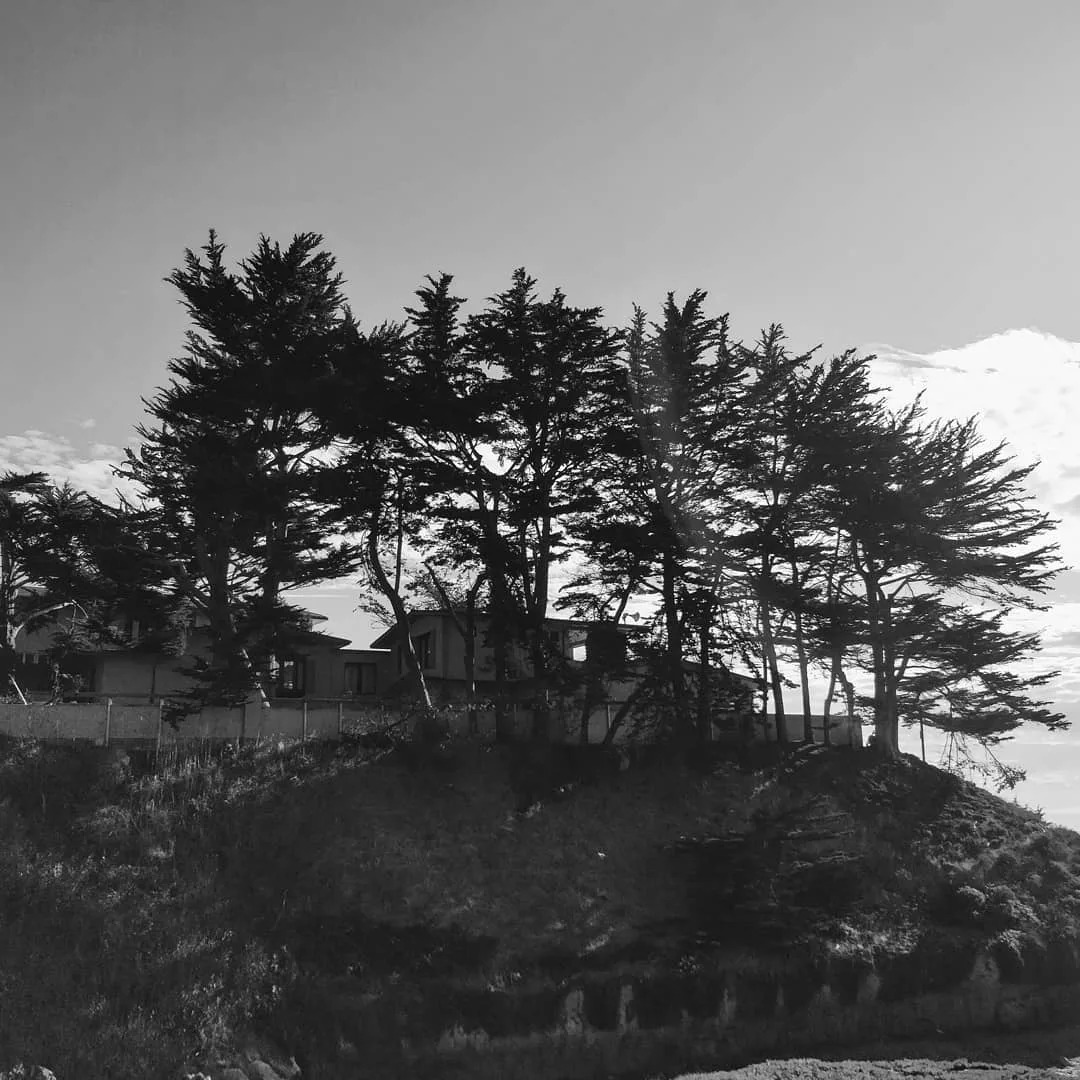 #Windswept