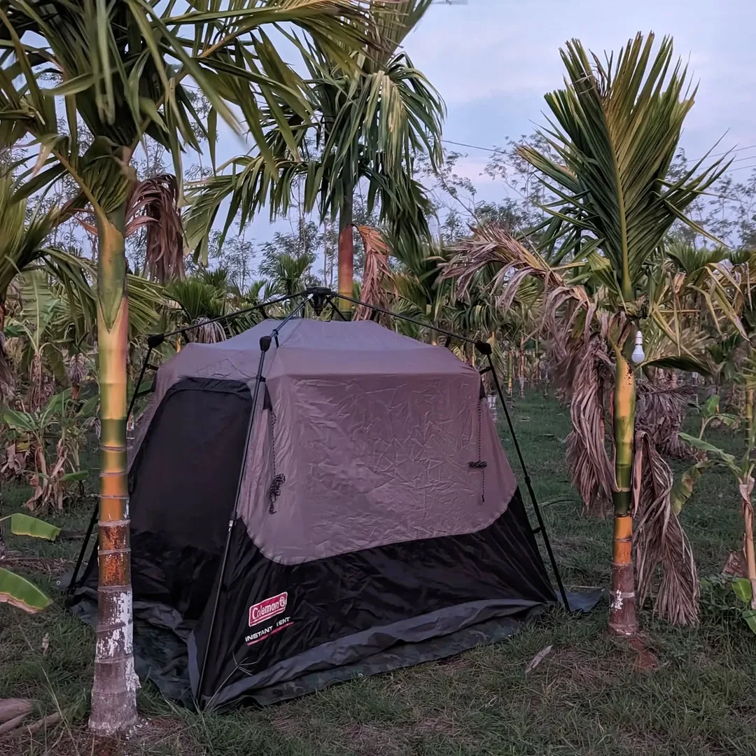 The kids will #camp with friends in our #tent, while I occupy this cosy #farmhouse