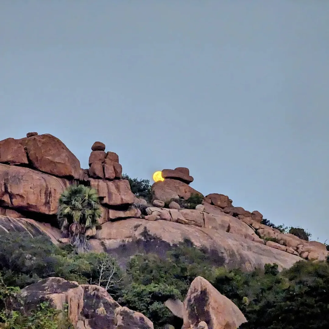 The #moon rises from behind the #rocks that the boys went #bouldering on