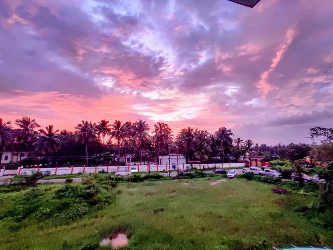 The #sky at #sunset burst into a riot of #colours today
