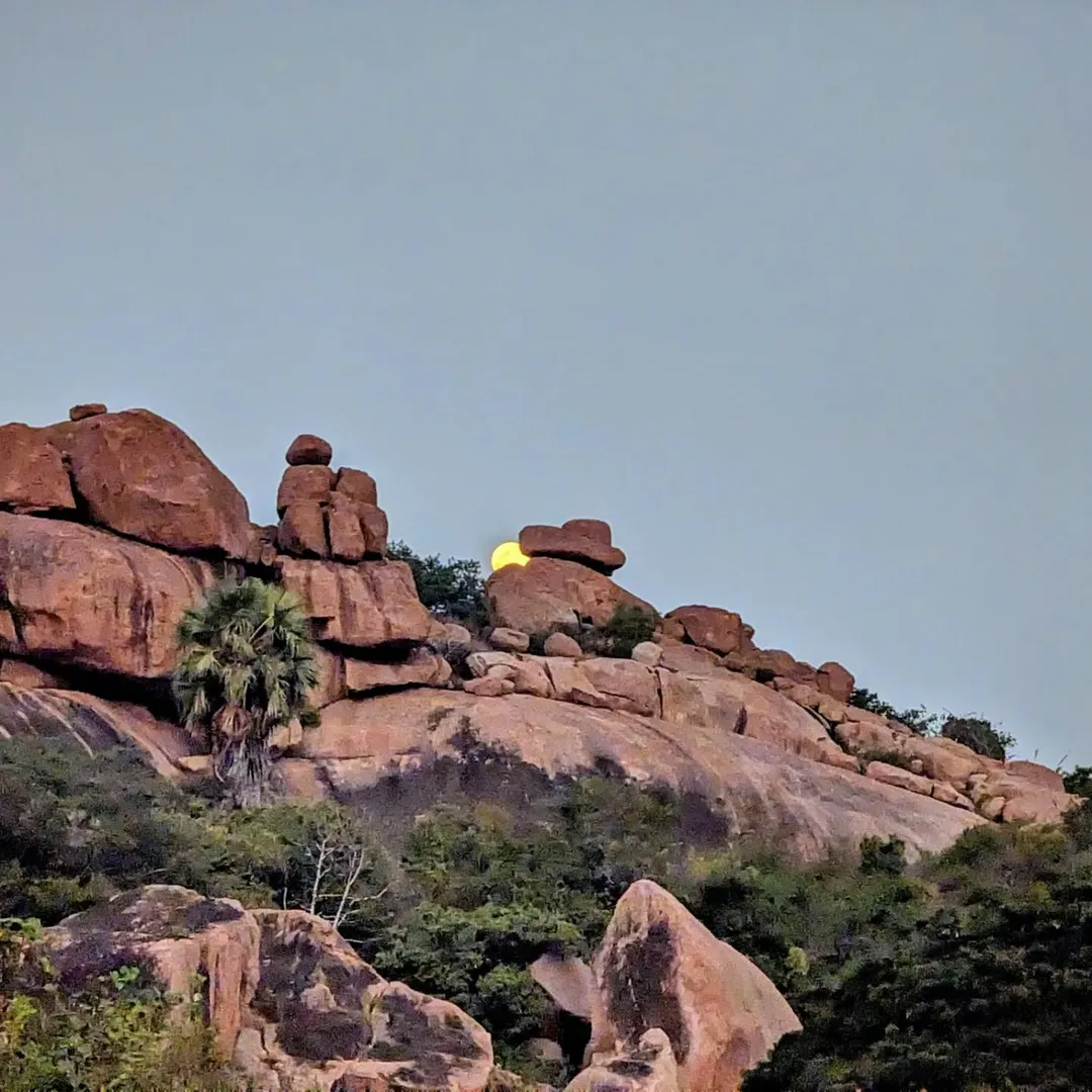The #moon rises from behind the #rocks that the boys went #bouldering on