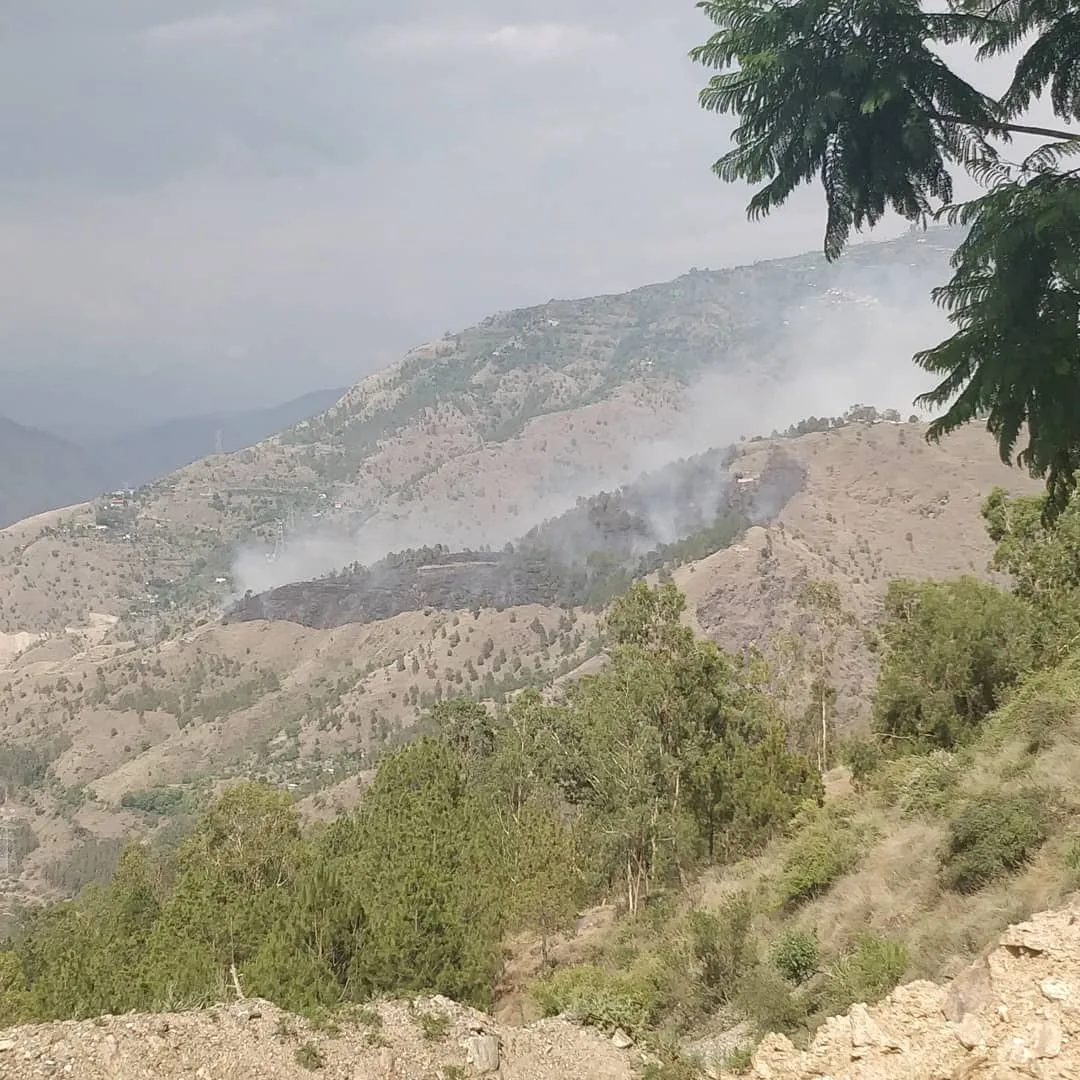 The #hills of #Narkand are on #fire.