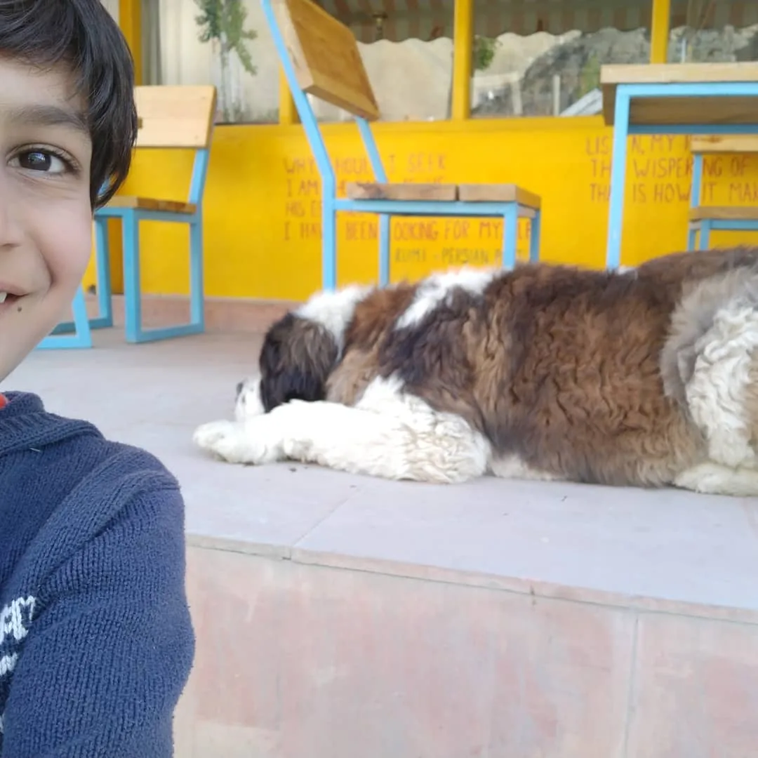 The #dogs of #Kaza

#goodboy #dogsofinstagram