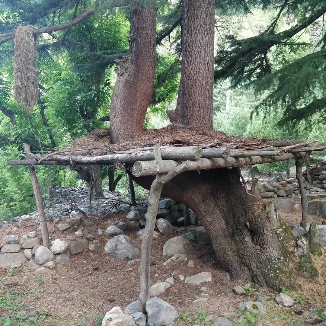 As you folks would have noticed by now, we went for a #village #walk.

Walking through villages is always the high point of any trip I make to the mountains, whether it is Himachal