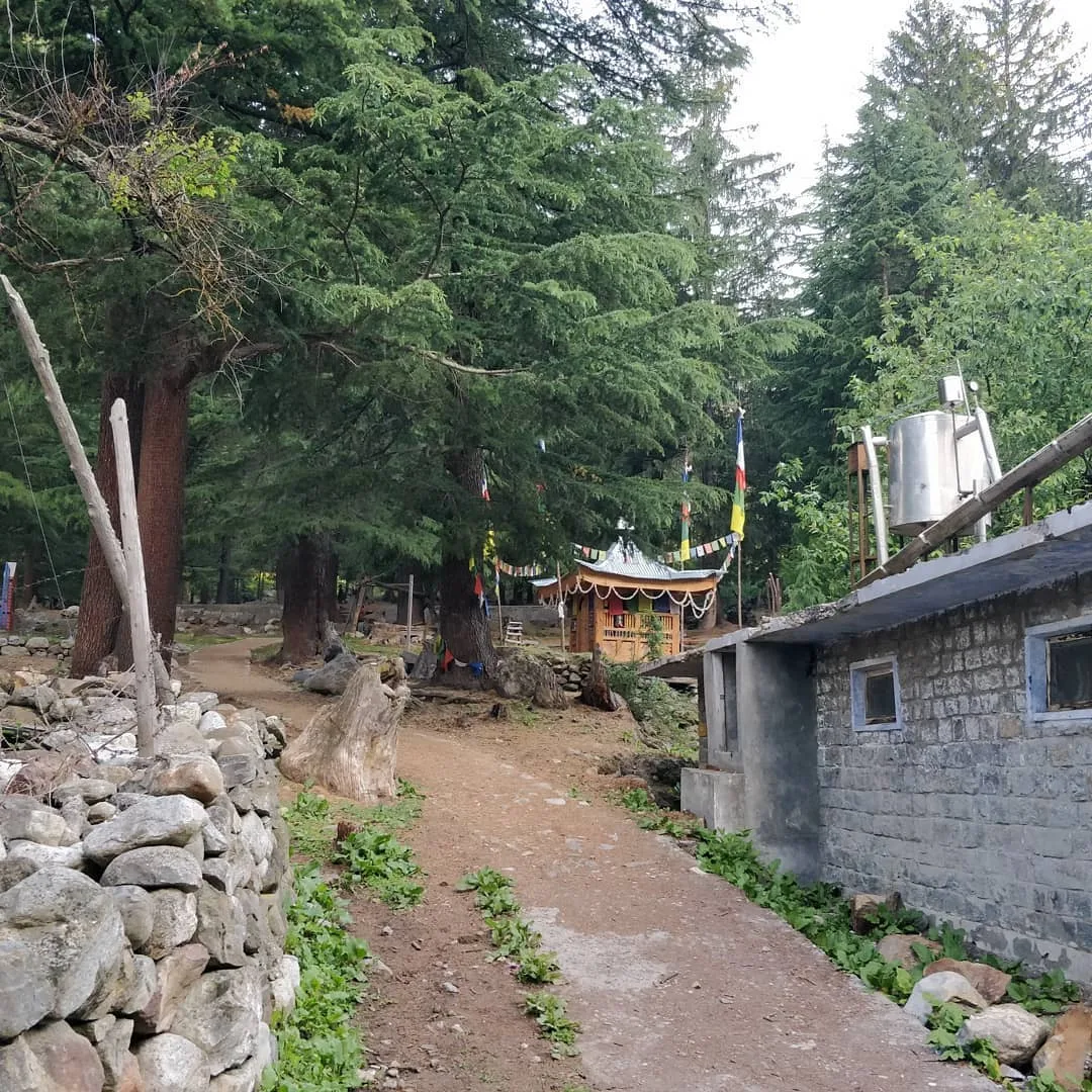 As you folks would have noticed by now, we went for a #village #walk.

Walking through villages is always the high point of any trip I make to the mountains, whether it is Himachal