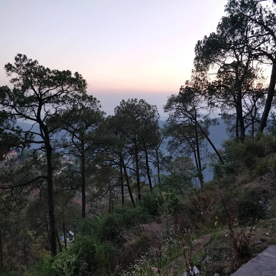 We are leaving this behind and moving on

#Kasauli #HimachalTourism #HimachalPradesh #vanlife