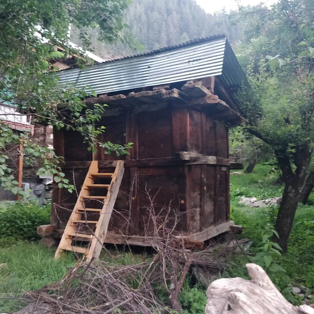 As you folks would have noticed by now, we went for a #village #walk.

Walking through villages is always the high point of any trip I make to the mountains, whether it is Himachal