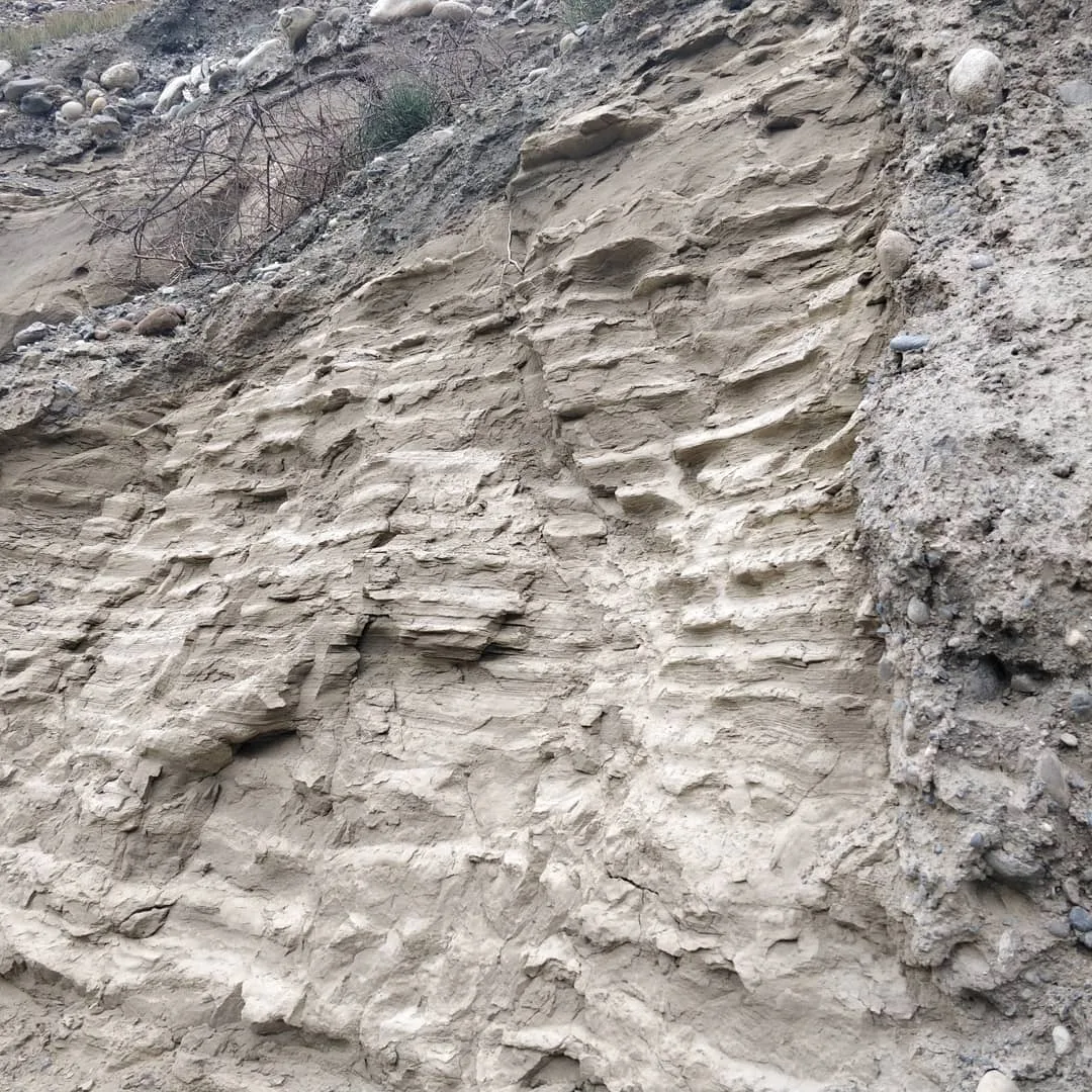 All kinds of rock reliefs. We captured maybe ten types. The area easily has over a hundred. This place is a geologist's dry dream.