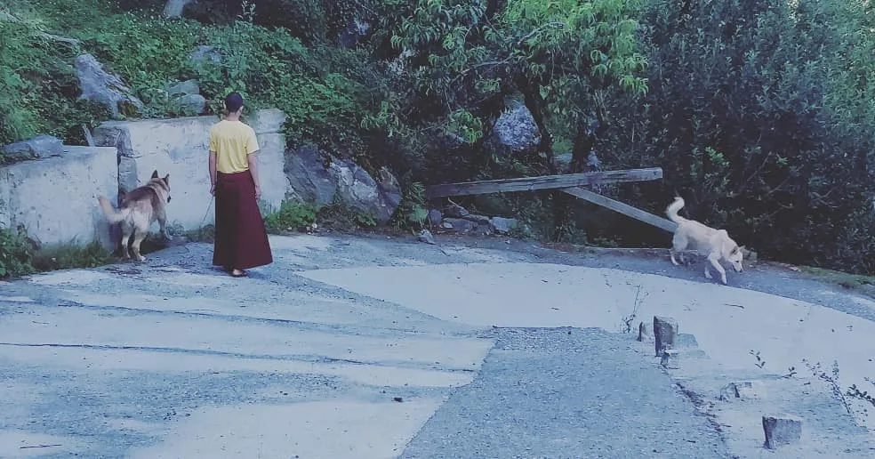 Trying to give you a sense of the fantabulous beauty of our perch. We spent the night in the newly constructed parking lot of the #Ponda Buddhist monastery. Sharing panoramas clear