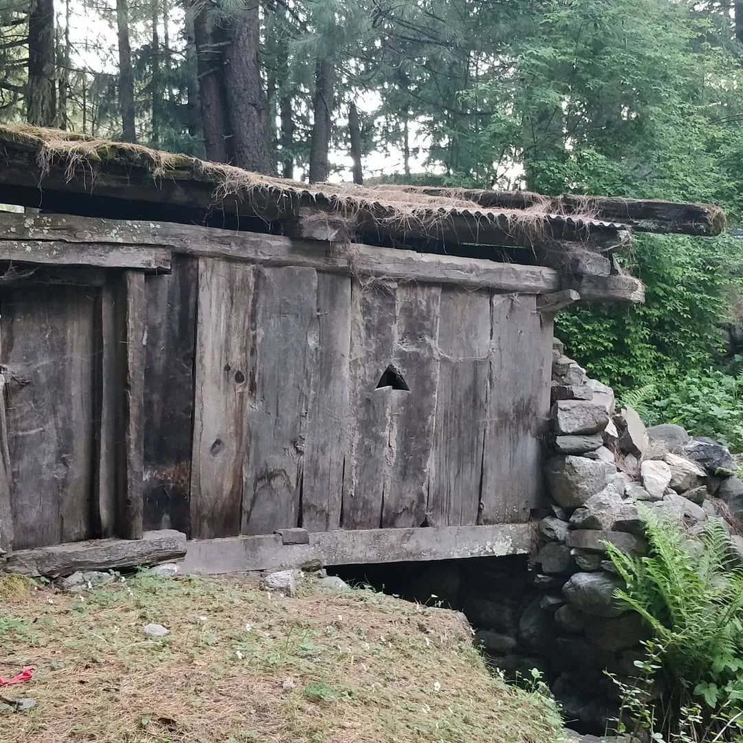As you folks would have noticed by now, we went for a #village #walk.

Walking through villages is always the high point of any trip I make to the mountains, whether it is Himachal
