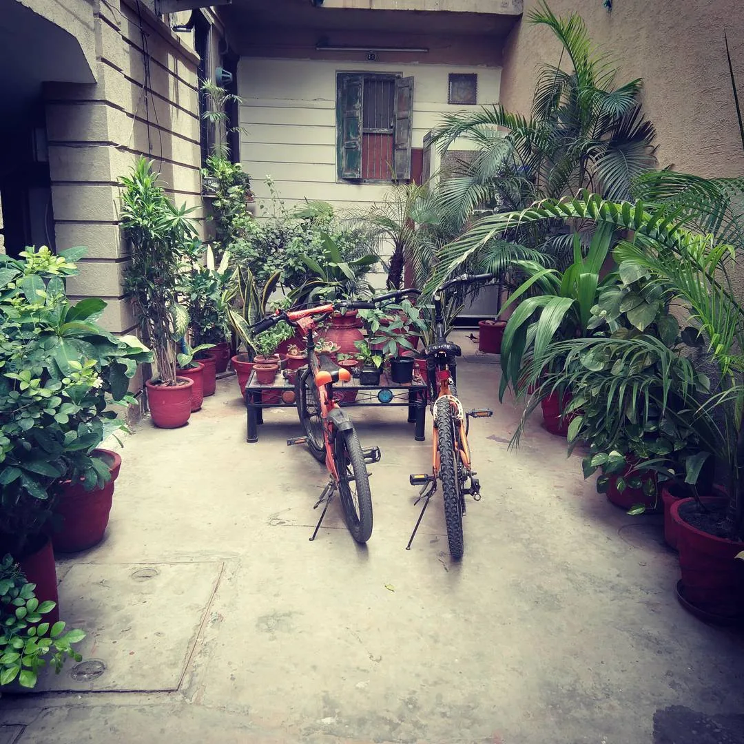 As I walk back home from work for lunch, I see cycles parked outside. And I say to myself, "Hmm, so the kids have visitors."
