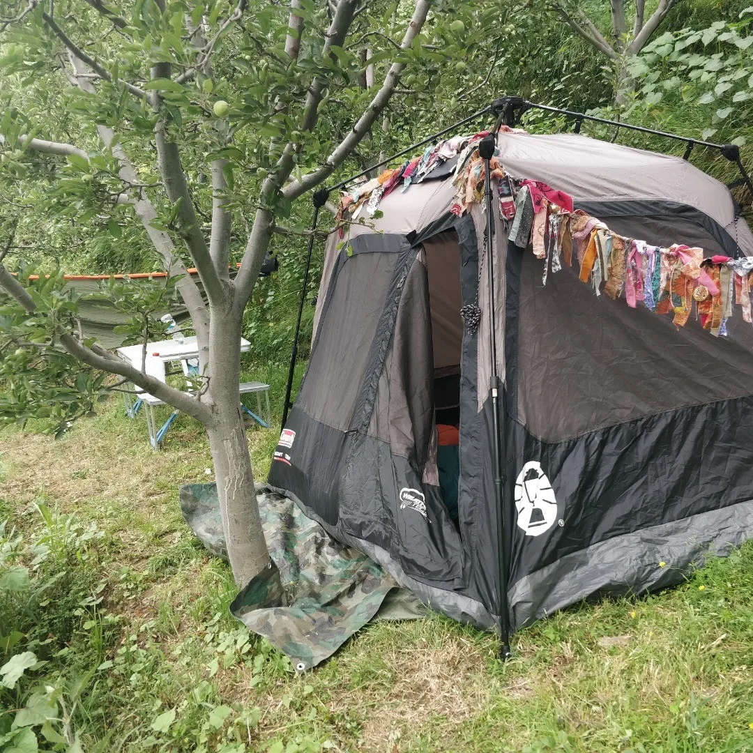 I've been out camping and RVing through Himachal Pradesh. If you aren't already, please do follow me on @caravahan and view the whole story.