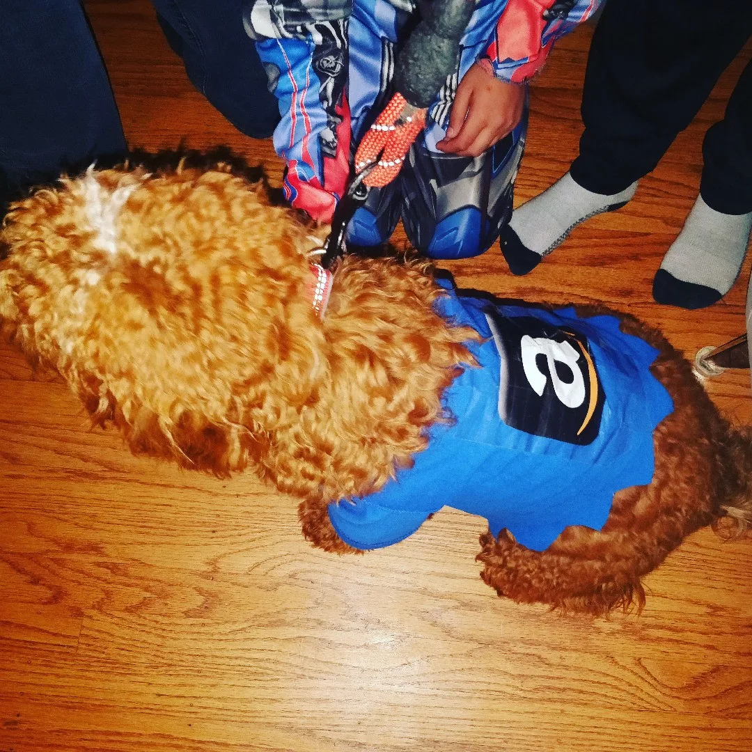 Meet Tahoe, the Amazon delivery guy