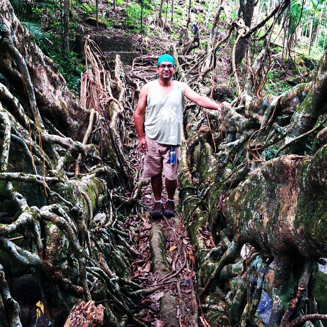 Living root bridges in Meghalaya are simply awesome