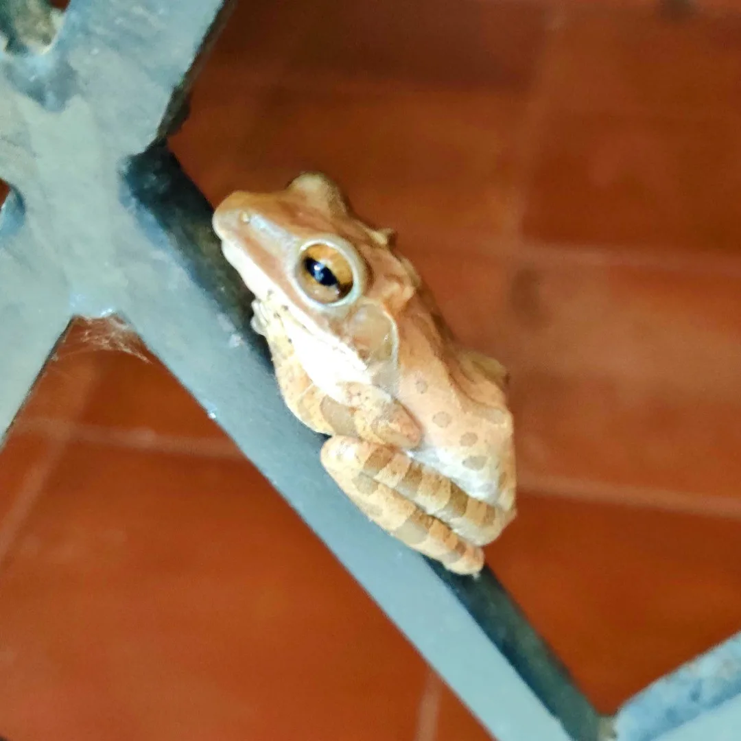 We have a visitor